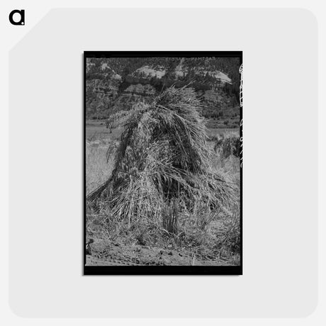 アートポストカード-Oats in the Shock
 - ラッセル リー Postcard.
