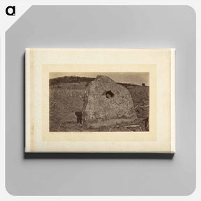 アートパネル-Hacienda Naranga, Ancient Sacrificial Stone
 - エドワード マイブリッジ Canvas.