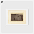 アートポストカード-Hacienda Naranga, Ancient Sacrificial Stone
 - エドワード マイブリッジ Postcard.