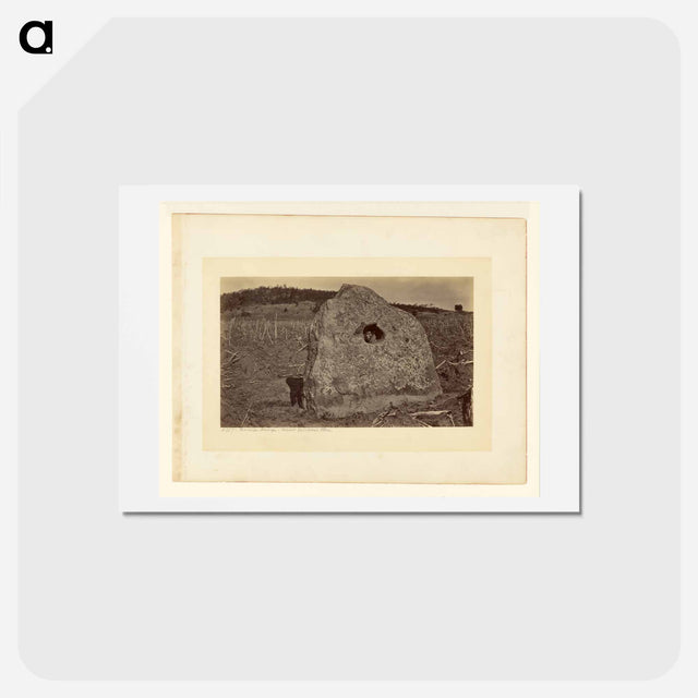 アートポストカード-Hacienda Naranga, Ancient Sacrificial Stone
 - エドワード マイブリッジ Postcard.