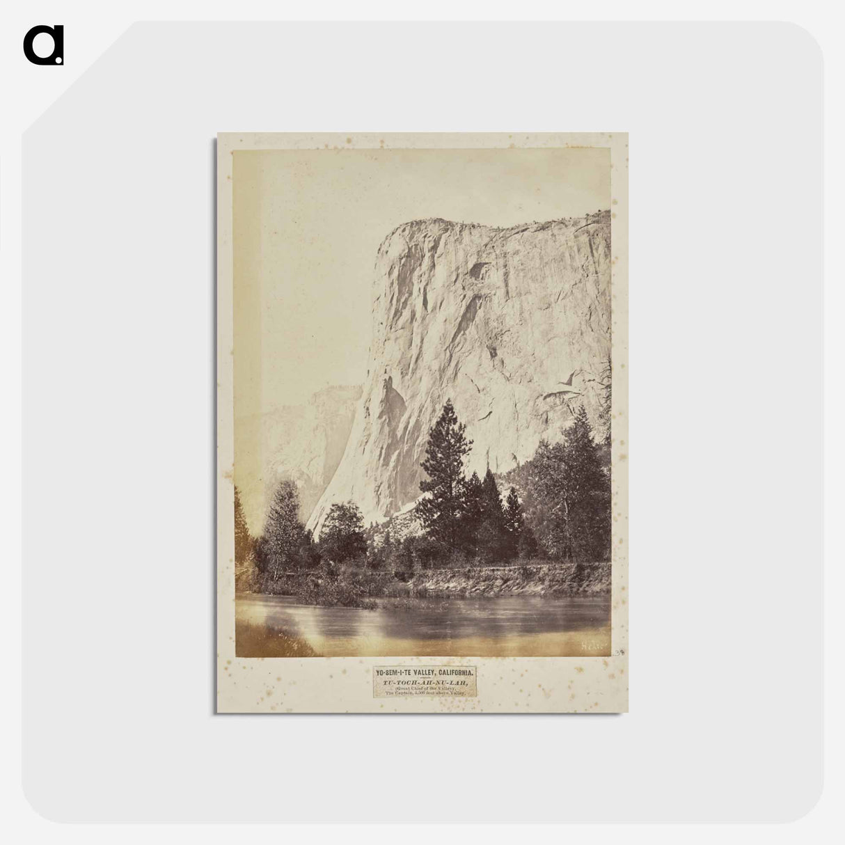 アートポストカード-Yo-Sem-i-te Valley
 - エドワード マイブリッジ Postcard.