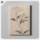 アートパネル-Flower - 葛飾 北斎 Canvas.