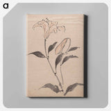 Flower - Katsushika Hokusai Canvas.