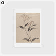 アートポストカード-Flower - 葛飾 北斎 Postcard.