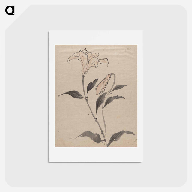 アートポストカード-Flower - 葛飾 北斎 Postcard.