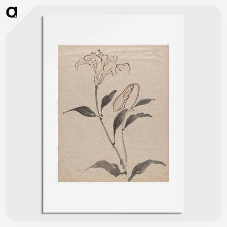 アートポスター-Flower - 葛飾 北斎 Poster.