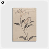 アートポストカード-Flower - 葛飾 北斎 Postcard.