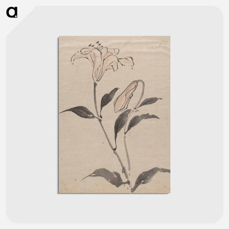アートポストカード-Flower - 葛飾 北斎 Postcard.