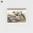 アートメモ帳-Semipalmated Snipe or Willet from Birds of America
 - アメリカの鳥たち Memo.