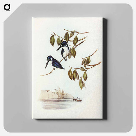 アートパネル-Little Kingfisher
 - オーストラリアの鳥 Canvas.