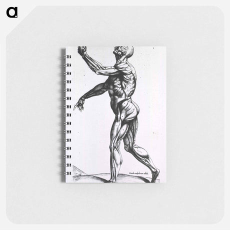 アートメモ帳-Musculature of the Human Body
 - 国立医学図書館 Memo.