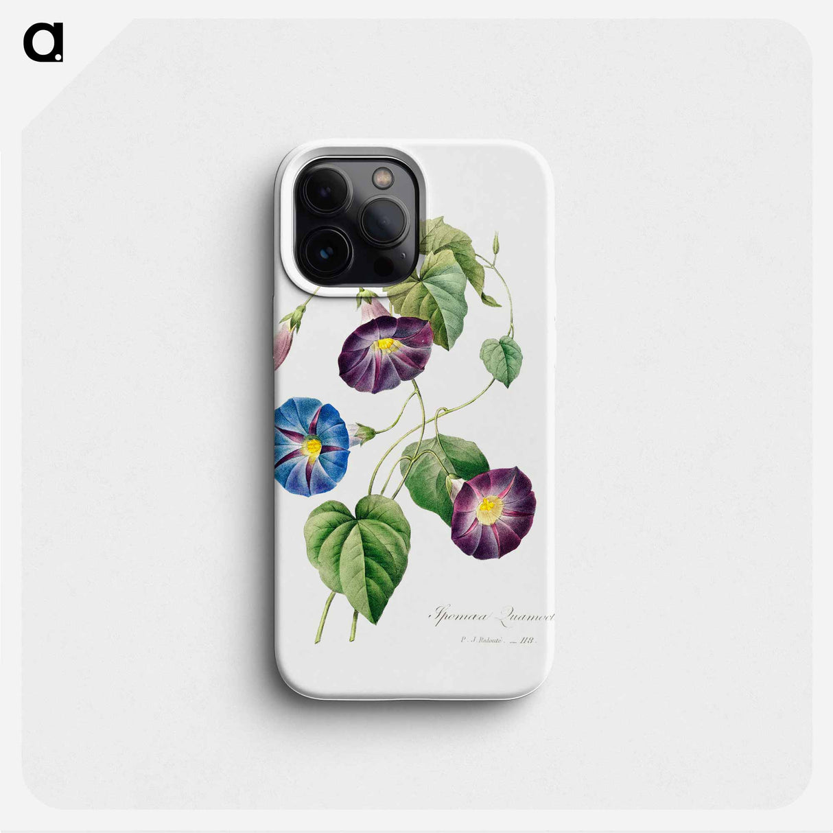 Morning glory - Pierre Joseph Redouté Phone Case.