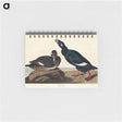 アートメモ帳-Velvet Duck from Birds of America
 - アメリカの鳥たち Memo.