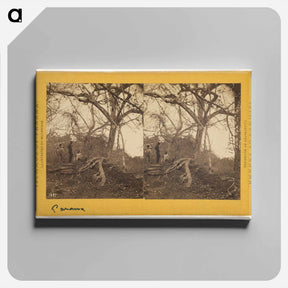アートパネル-Old Panama. Porto Bello Road
 - エドワード マイブリッジ Canvas.