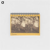 アートメモ帳-Old Panama. Porto Bello Road
 - エドワード マイブリッジ Memo.