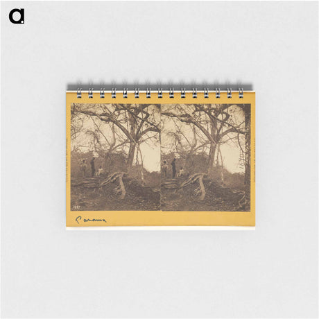 アートメモ帳-Old Panama. Porto Bello Road
 - エドワード マイブリッジ Memo.