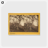 アートポストカード-Old Panama. Porto Bello Road
 - エドワード マイブリッジ Postcard.