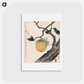 アートポストカード-Persimmon and Grasshopper - 葛飾 北斎 Postcard.