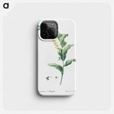 Solomon's seal - Pierre Joseph Redouté Phone Case.