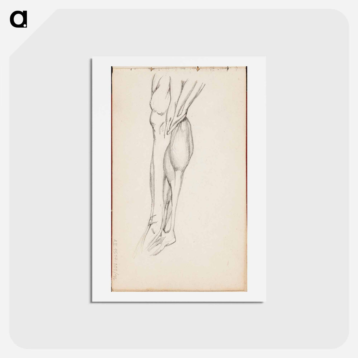 アートポストカード-(unknown) part of a sketchbook - アルバート エーデルフェルト Postcard.