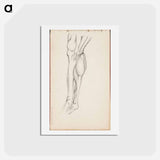 アートポストカード-(unknown) part of a sketchbook - アルバート エーデルフェルト Postcard.