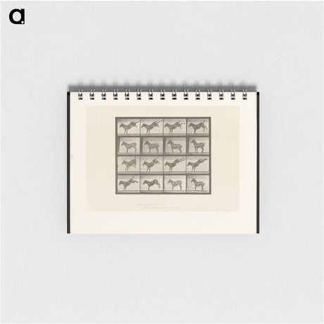 アートメモ帳-Mule Kicking
 - エドワード マイブリッジ Memo.