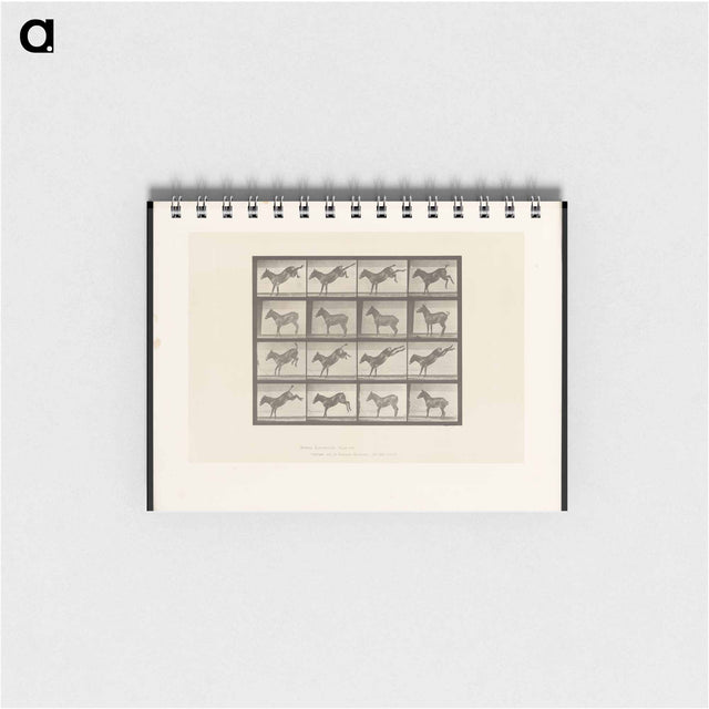 アートメモ帳-Mule Kicking
 - エドワード マイブリッジ Memo.