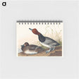 アートメモ帳-Red-headed Duck from Birds of America
 - アメリカの鳥たち Memo.