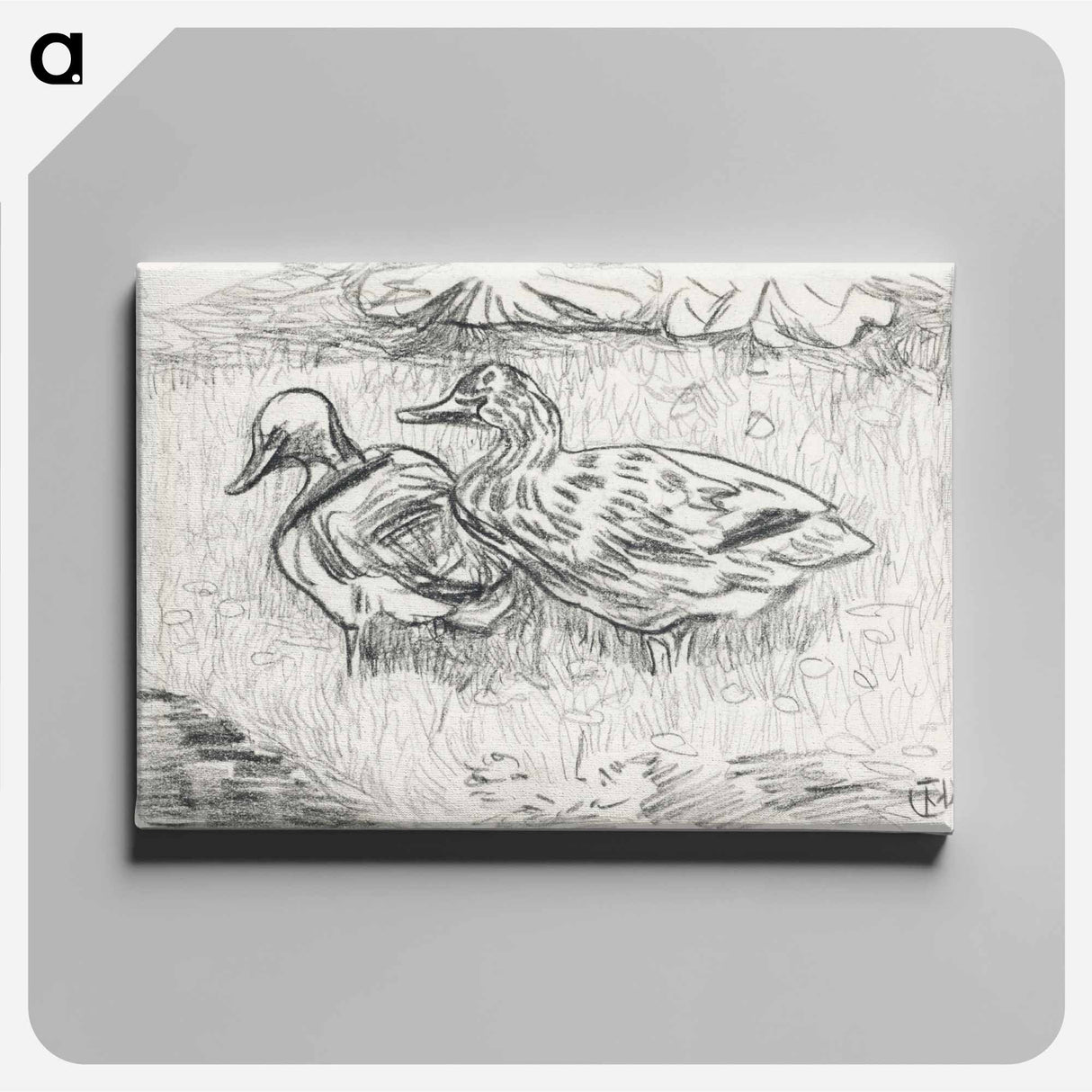 Twee eenden - Theo van Hoytema Canvas.