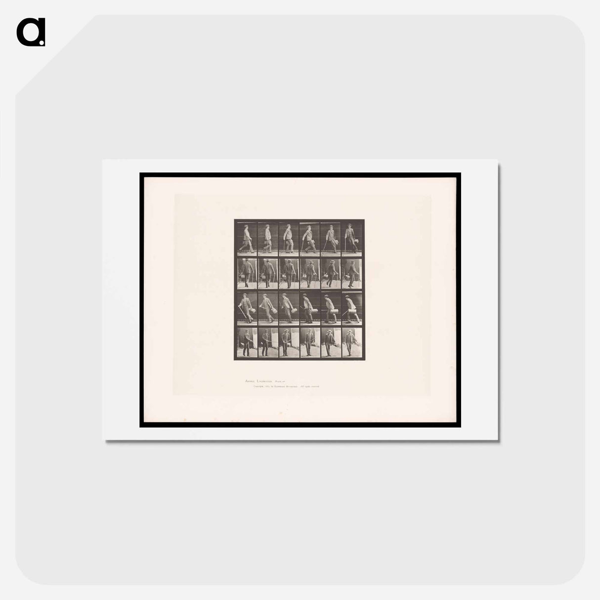 アートポストカード-Man Walking
 - エドワード マイブリッジ Postcard.