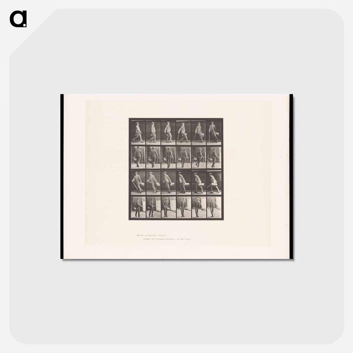 アートポストカード-Man Walking
 - エドワード マイブリッジ Postcard.