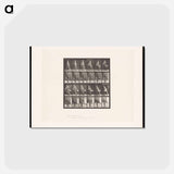 アートポストカード-Man Walking
 - エドワード マイブリッジ Postcard.