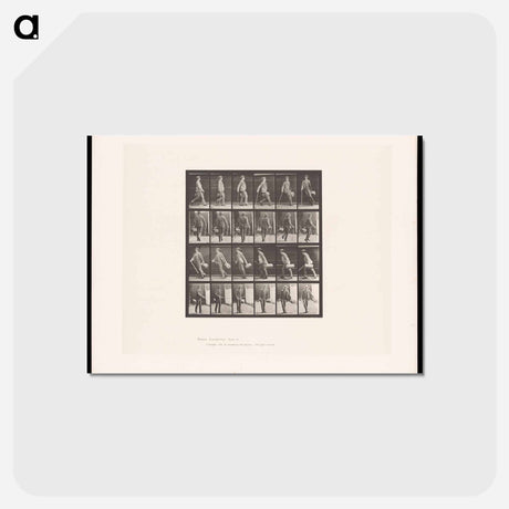 アートポストカード-Man Walking
 - エドワード マイブリッジ Postcard.