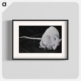 アートポスター-NIAID Infectious Diseases Image
 - 国立医学図書館 Poster.