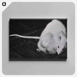 アートパネル-NIAID Infectious Diseases Image
 - 国立医学図書館 Canvas.