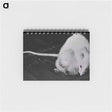 アートメモ帳-NIAID Infectious Diseases Image
 - 国立医学図書館 Memo.