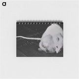 アートメモ帳-NIAID Infectious Diseases Image
 - 国立医学図書館 Memo.