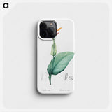 Indian shot illustration - ピエール ジョゼフ ルドゥーテ Phone Case.