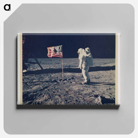 アートパネル-Lunar Glory
 - セントルイス美術館 Canvas.