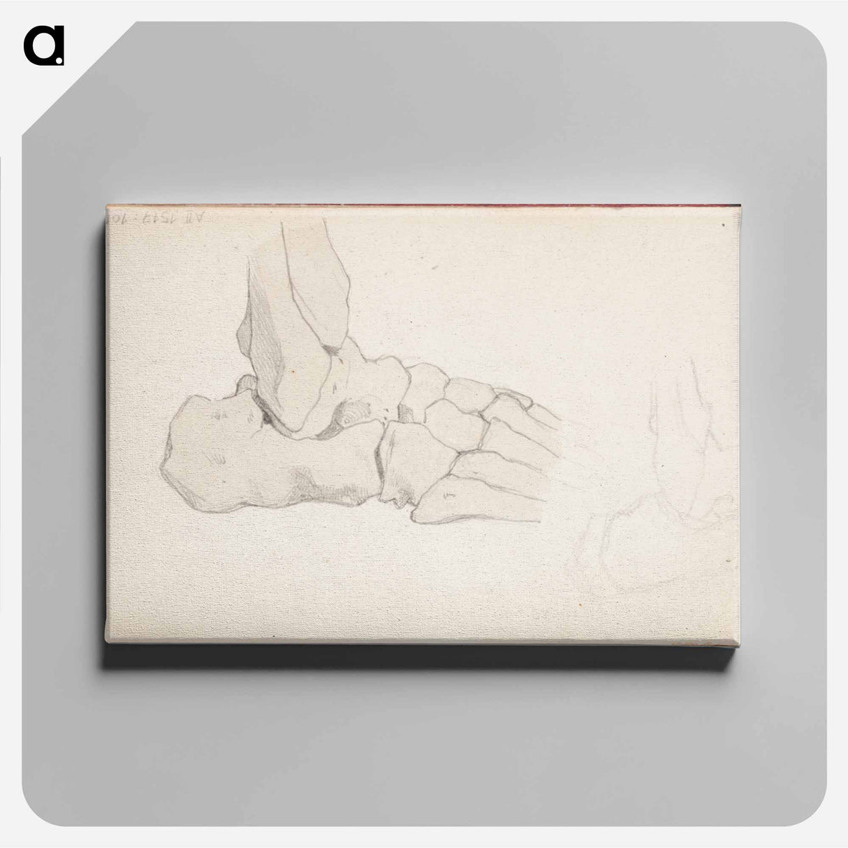 (unknown) part of a sketchbook - アルバート エーデルフェルト Canvas.
