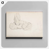 (unknown) part of a sketchbook - アルバート エーデルフェルト Canvas.