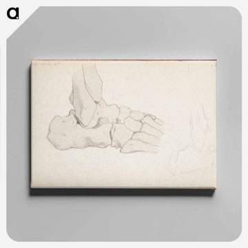 (unknown) part of a sketchbook - アルバート エーデルフェルト Canvas.