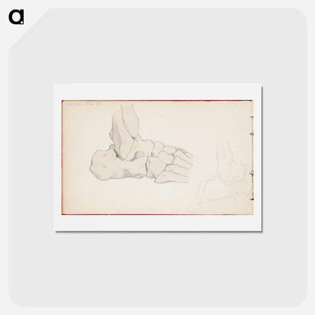 アートポストカード-(unknown) part of a sketchbook - アルバート エーデルフェルト Postcard.