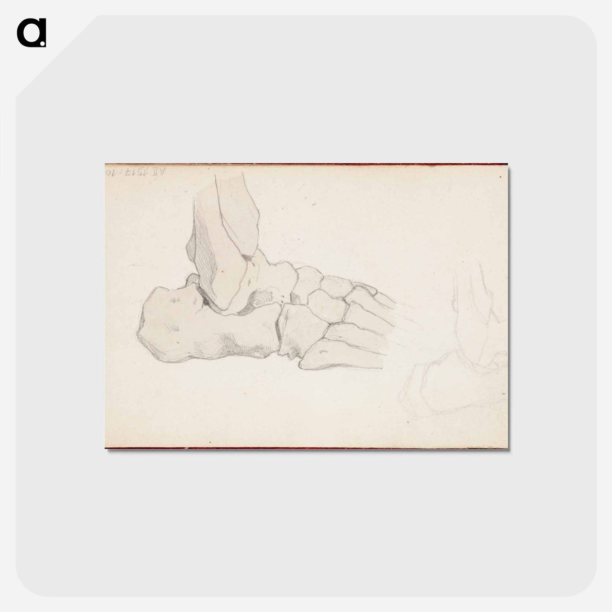 アートポストカード-(unknown) part of a sketchbook - アルバート エーデルフェルト Postcard.