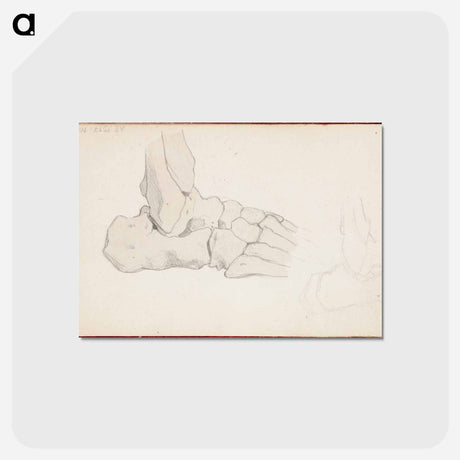 アートポストカード-(unknown) part of a sketchbook - アルバート エーデルフェルト Postcard.