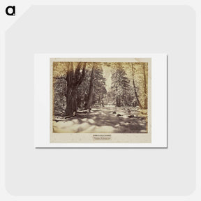 アートポストカード-Yo-Sem-i-te Valley
 - エドワード マイブリッジ Postcard.