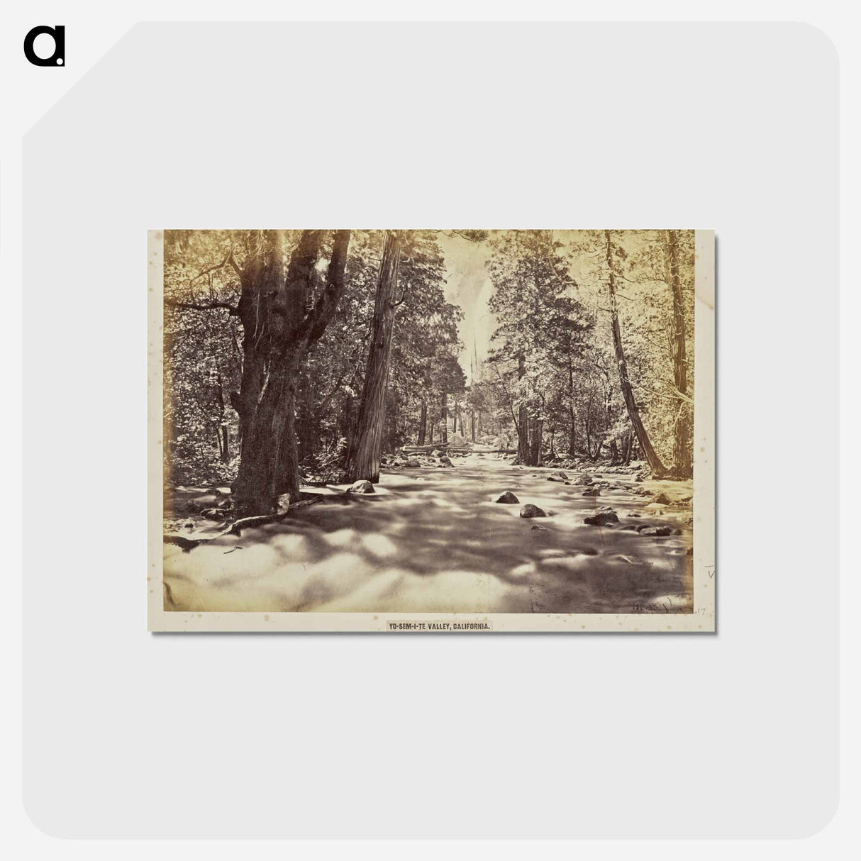 アートポストカード-Yo-Sem-i-te Valley
 - エドワード マイブリッジ Postcard.