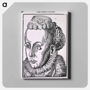 アートパネル-Warts of the Eyelid
 - 国立医学図書館 Canvas.