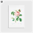 アートポストカード-Antique plant - ピエール ジョゼフ ルドゥーテ Postcard.