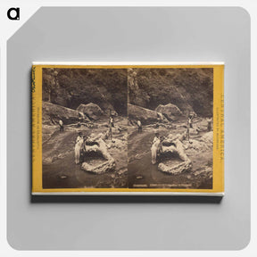 アートパネル-Guatemala, Baranca of Ynsiensi
 - エドワード マイブリッジ Canvas.